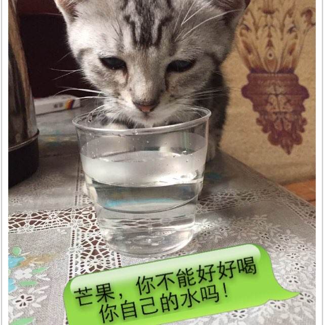 cad等级证书报名